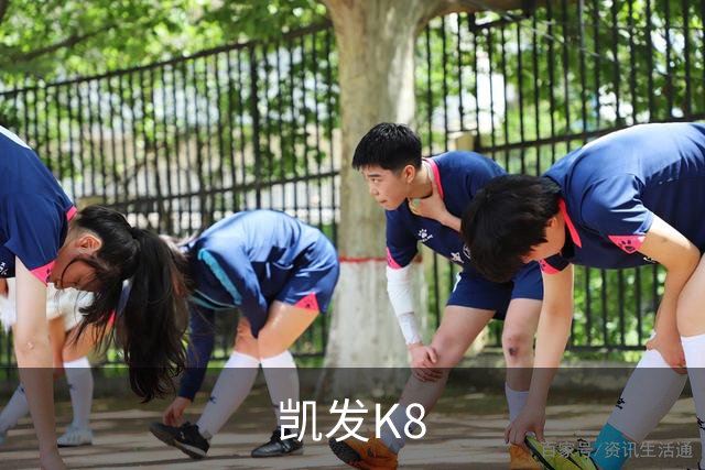 凯发K8公司介绍图片